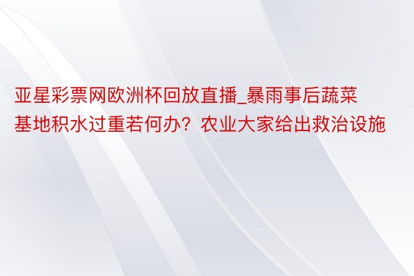 亚星彩票网欧洲杯回放直播_暴雨事后蔬菜基地积水过重若何办？农业大家给出救治设施