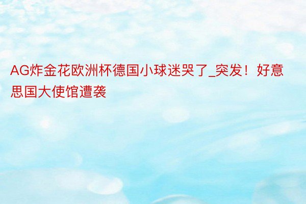AG炸金花欧洲杯德国小球迷哭了_突发！好意思国大使馆遭袭